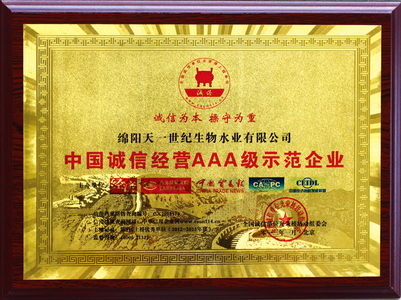 綿陽天一互聯網科技有限公司-企業榮譽