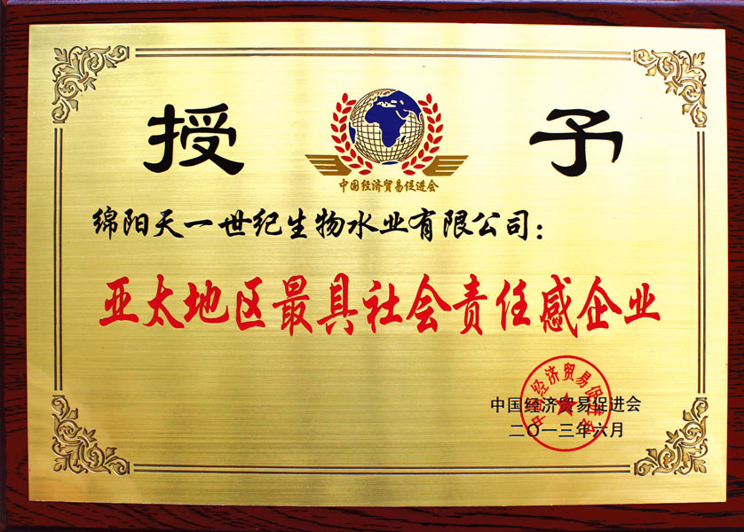 綿陽天一互聯網科技有限公司-企業榮譽